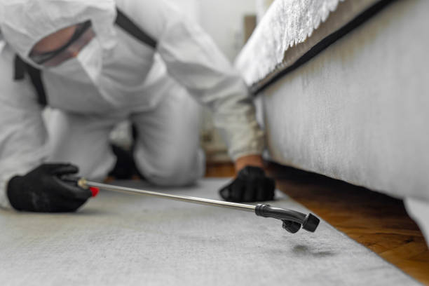 Professional Termite Control technician working in Four Corners, TX