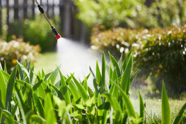 24/7 Emergency Termite Control experts in Four Corners, TX
